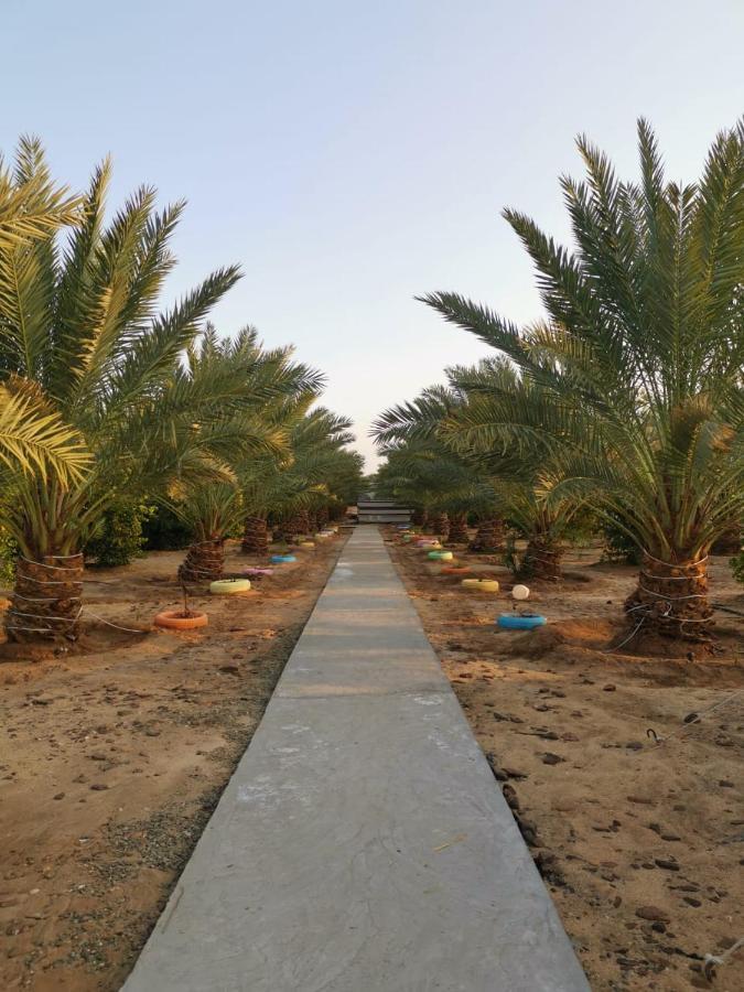 Almazham Camp Resort Al Ula Exterior foto