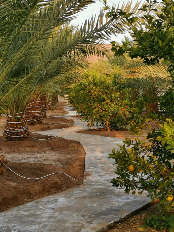 Almazham Camp Resort Al Ula Exterior foto