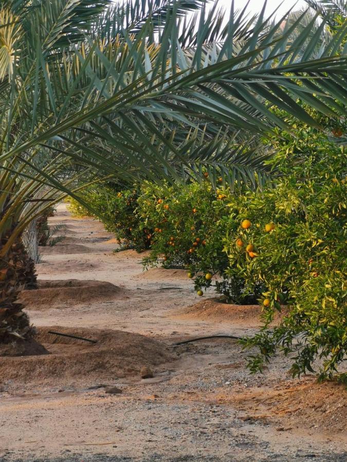 Almazham Camp Resort Al Ula Exterior foto