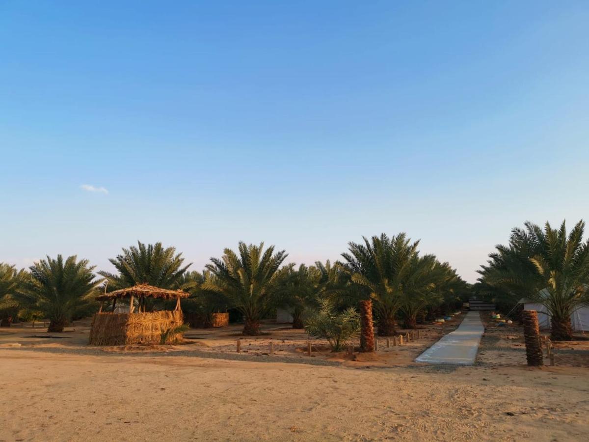 Almazham Camp Resort Al Ula Exterior foto